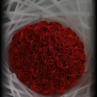 گل روبانی|گل مصنوعی|اهواز, شهرک رزمندگان|دیوار