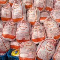 خردکن مرغ و ماهی ماهر نیازمندیم حقوق 48 میلیون