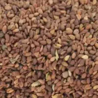 ۳تن کنجد درجه یک آماده فروش