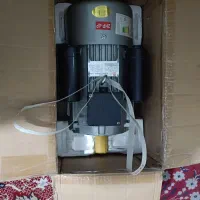 دینام کاجیلی نوه