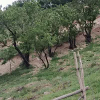 اجاره خانه ویلایی عیسی آباد