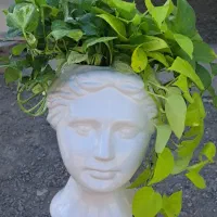 گل و گیاه تا ۴۰ درصد تخفیف