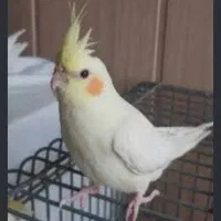 1500