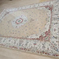 فرش ۱۲ متری در حد نو|فرش|مشهد, هفت تیر (نه دره)|دیوار