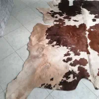 پوست گاو|فرش|مشهد, سجاد شهر|دیوار