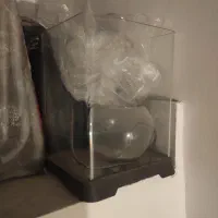 آکواریوم فروشی با لوازم|ماهی|بیرجند, |دیوار