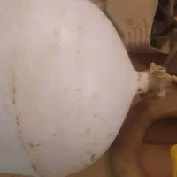 کفسو گاز ماشین