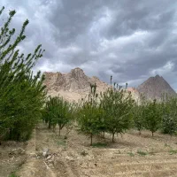 باغ میوه کنار زاینده رود|فروش زمین و ملک کلنگی|اصفهان, آبشار|دیوار