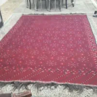 گلیم دستبافت یلدایی انتری رنگ6متربیشتر