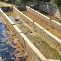 اجاره پرورش ماهی ۱۵تنی...|اجارهٔ دفتر صنعتی، کشاورزی، تجاری|الشتر, |دیوار