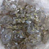 ۲۹ تا آویز لوستر