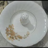 سرویس کاملا سالم چینی