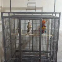 قفس بزرگ در حد نو