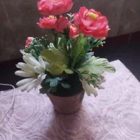 گل مصنوعی|گل مصنوعی|میاندوآب, |دیوار