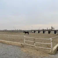 پانسیون و آموزش حرفه‌ای اسب باشگاه سوارکاری پارکور