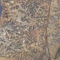 سنگ شجر|کلکسیون اشیاء عتیقه|خرمدره, |دیوار