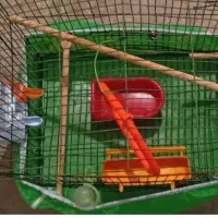 قفس بزرگ تخفیف هم جزئی هم برای مشتری واقعی