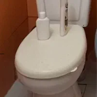 توالت فرنگی