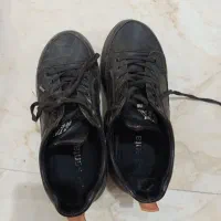 کتانی نو نو