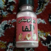 خرگوش|موش و خرگوش|لنجان, |دیوار