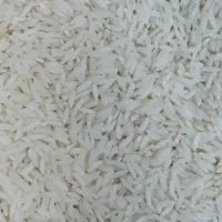 برنج هاشمی درجه ۱