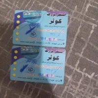 بلیط استخر کوثر