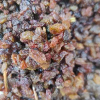 کشمش آفتابی بیدانه|خوردنی و آشامیدنی|بجنورد, |دیوار