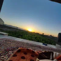 به یک ادمین حرفه‌ای اینستاگرام وسایت نیازدپاره‌وقت