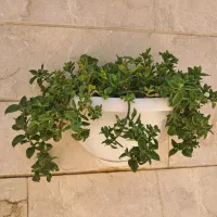 گلدان دیواری