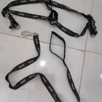 کمربند سگ. قلاده سگ