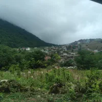 طبیعت