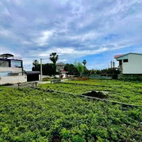 ۲۵۰مترزمین سرسبزتوبافت مسکونی+سندتکبرگ پلاک شمالی