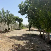 اجاره ۱۷۰۰ متر چهار دیواری خاوران|اجارهٔ دفتر صنعتی، کشاورزی، تجاری|تهران, شهرک رضویه|دیوار