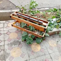 آینه استاده  و لوستر چهار شاخ|لوستر و چراغ آویز|تبریز, |دیوار