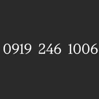 0919.246.1006
