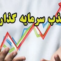 جذب سرمایه گذار