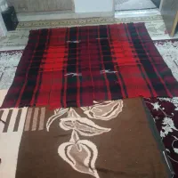 موج ۲ عدد تمیز در حدنو