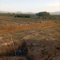فروش-باغ-برای-سرمایه-گذاری