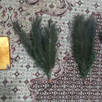 درخت کاج کریسمس اصل USA بدون رنگ رفتگی وتا شو|گل مصنوعی|کرمانشاه, |دیوار