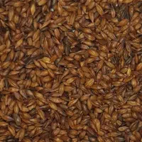 فروش دانه و عصاره مالت جو و گندم طبیعی|خوردنی و آشامیدنی|بوئین و میاندشت, |دیوار