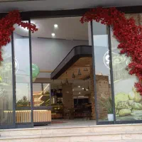 درختچه شکوفه آماده تحویل