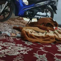 فروش موتور لاکی احسان خروجی 1404