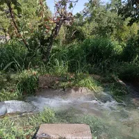 فروش 45قصبه 850متر باغ