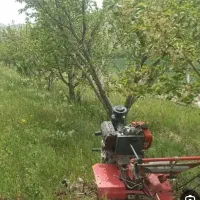 شخم زنی درختان با قیمت مناسب|خدمات باغبانی و درختکاری|میانه, |دیوار