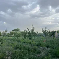 زمین مجوزدار داخل بافت|فروش زمین و ملک کلنگی|مشهد, میان ولایت|دیوار