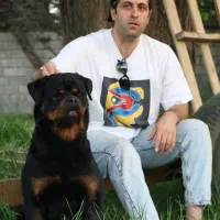 سگ روتوایلر|سگ|قائم‌شهر, |دیوار