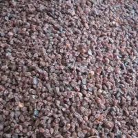 کشمش افتابی|خوردنی و آشامیدنی|ایوان, |دیوار