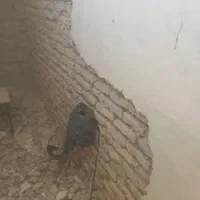 دریل تخریب تخریب کارسگوند|خدمات پیشه و مهارت|شوش, |دیوار