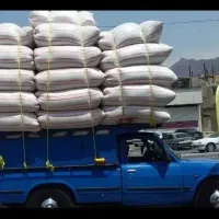 کاه سفید نرم لردگان