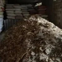خوراک دام
